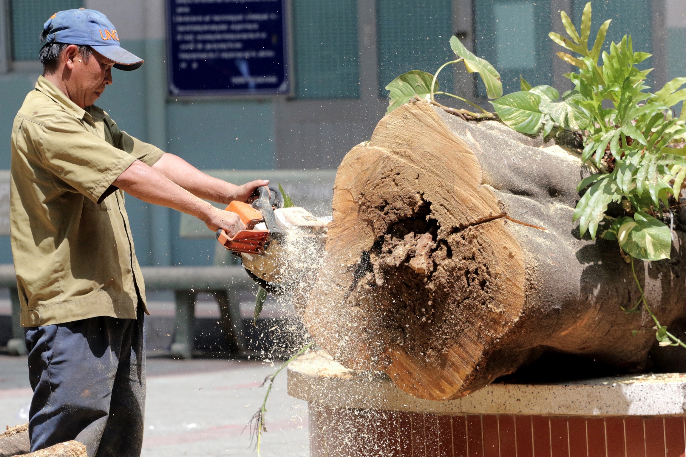 phuong bat goc de chet nguoi anh 2