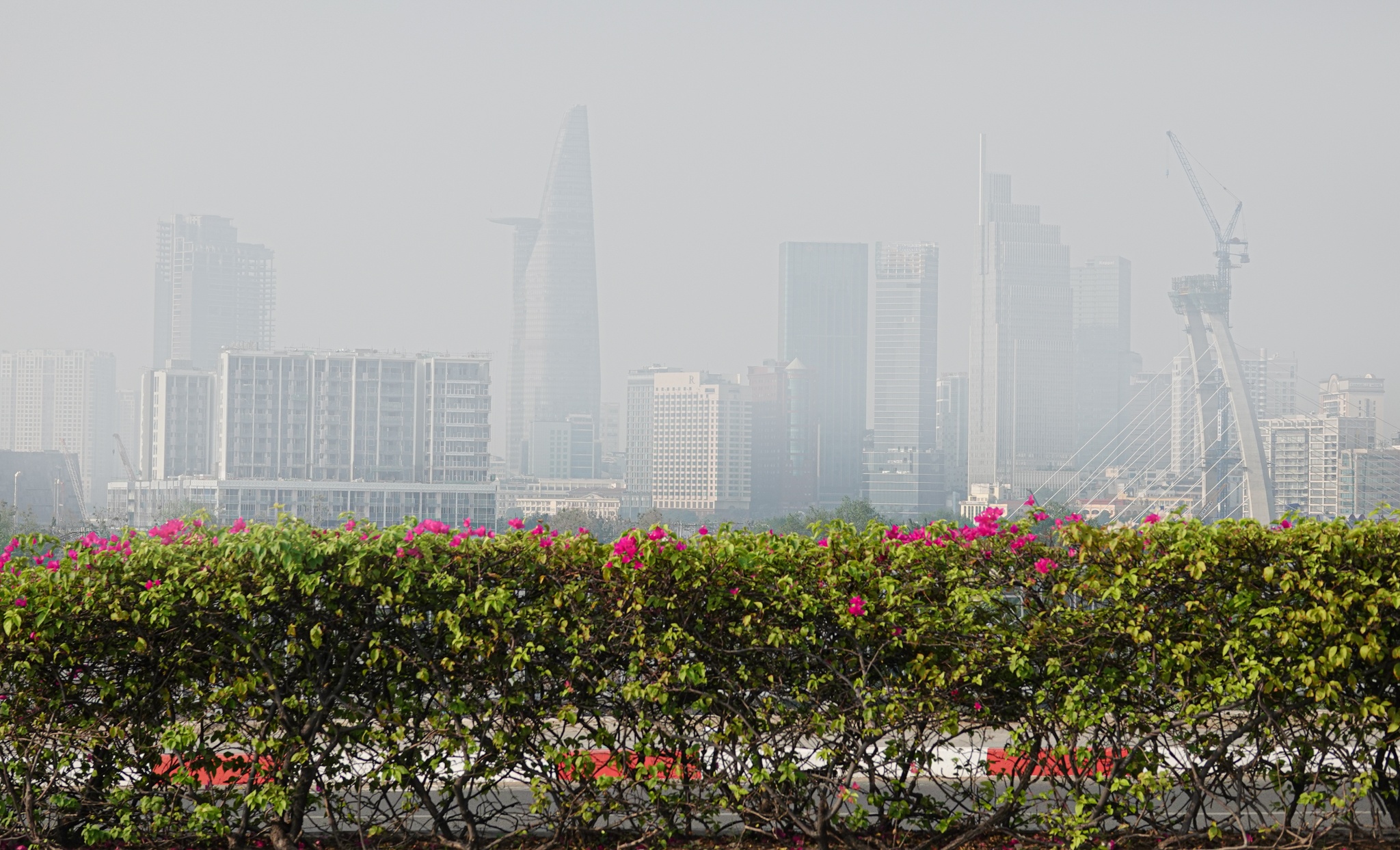 TP.HCM day dac mu kho anh 12