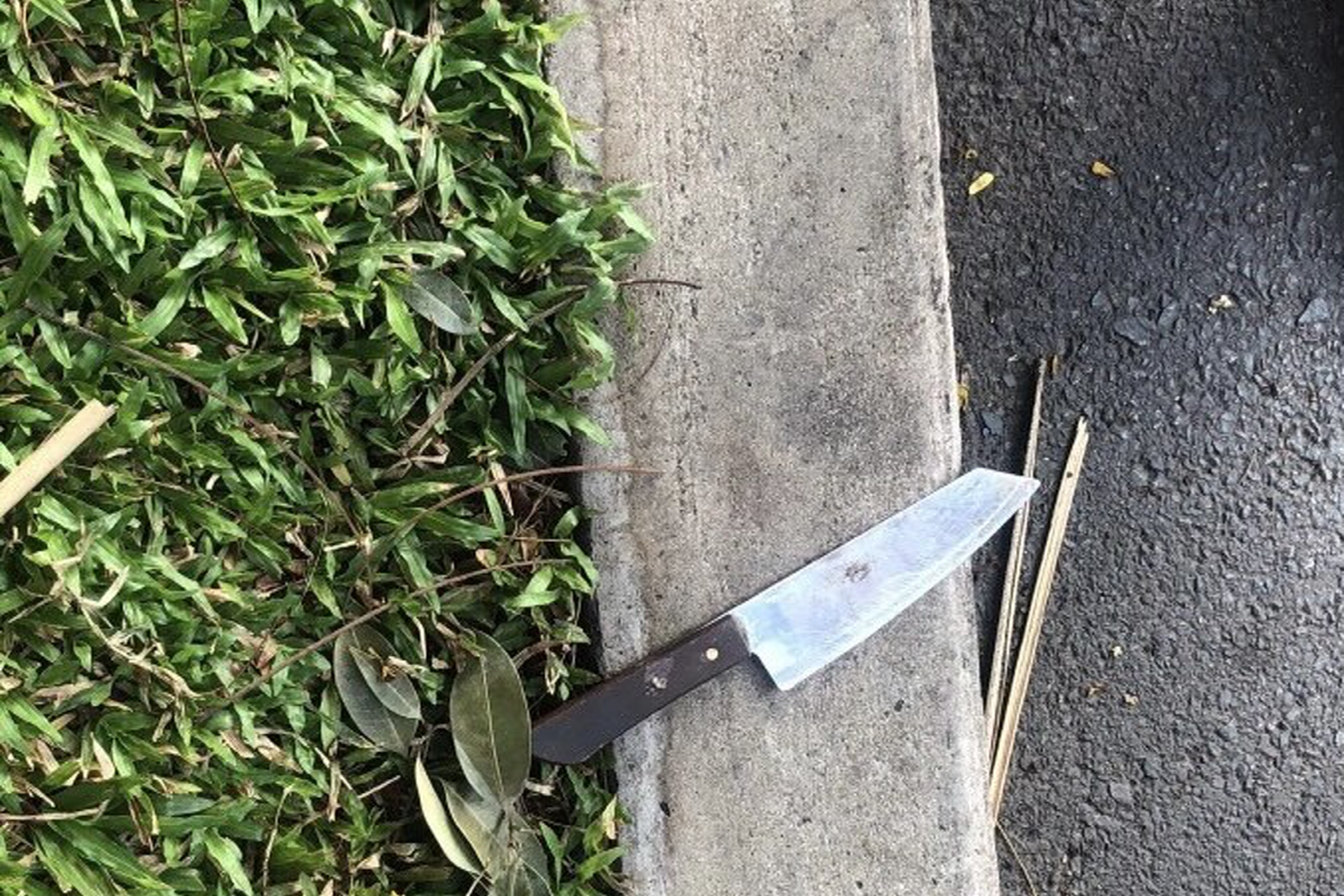 tai xe xe buyt bi ke dao vao co anh 2