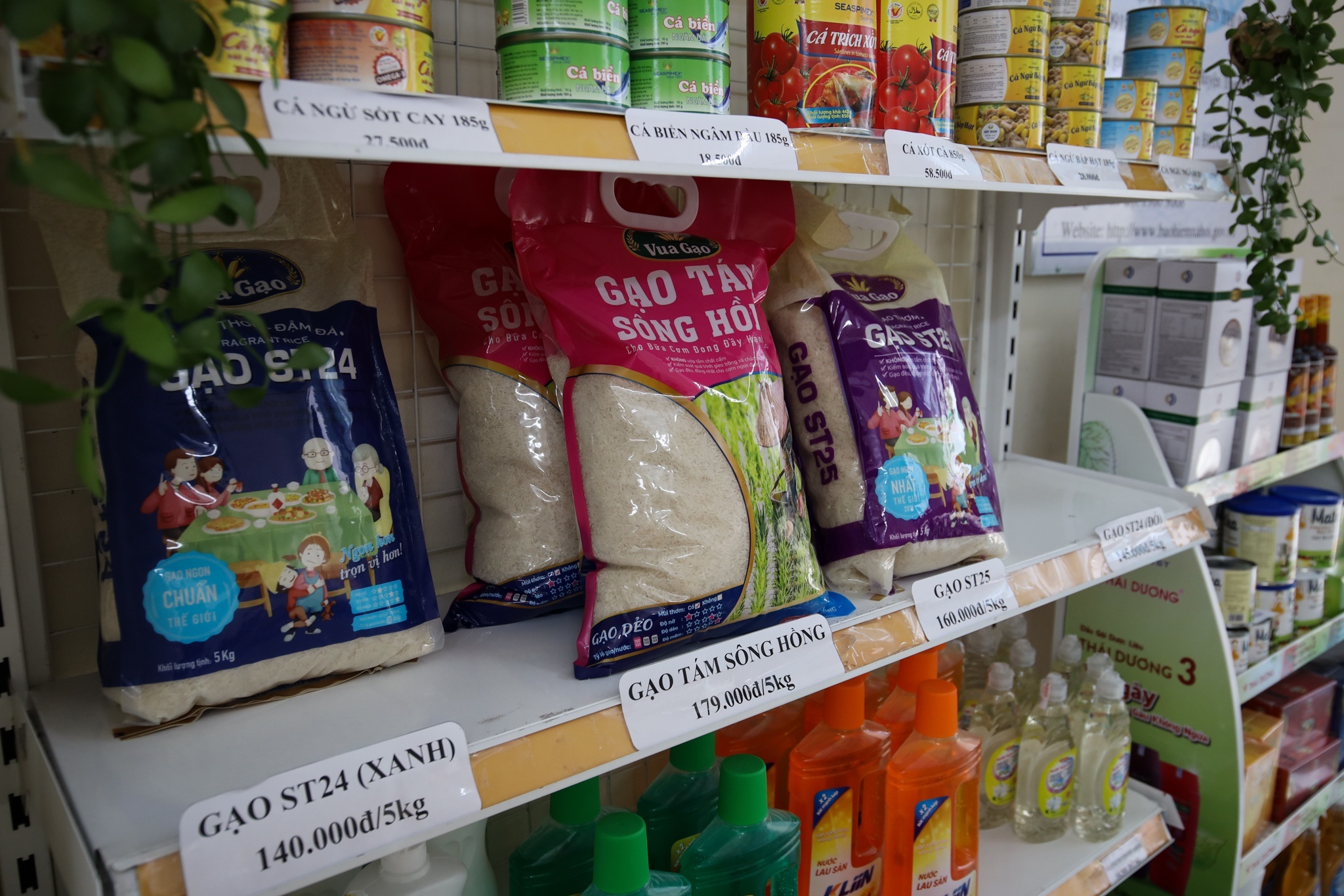 Thuc pham,  rau cu o TP.HCM khong con khan hiem anh 3