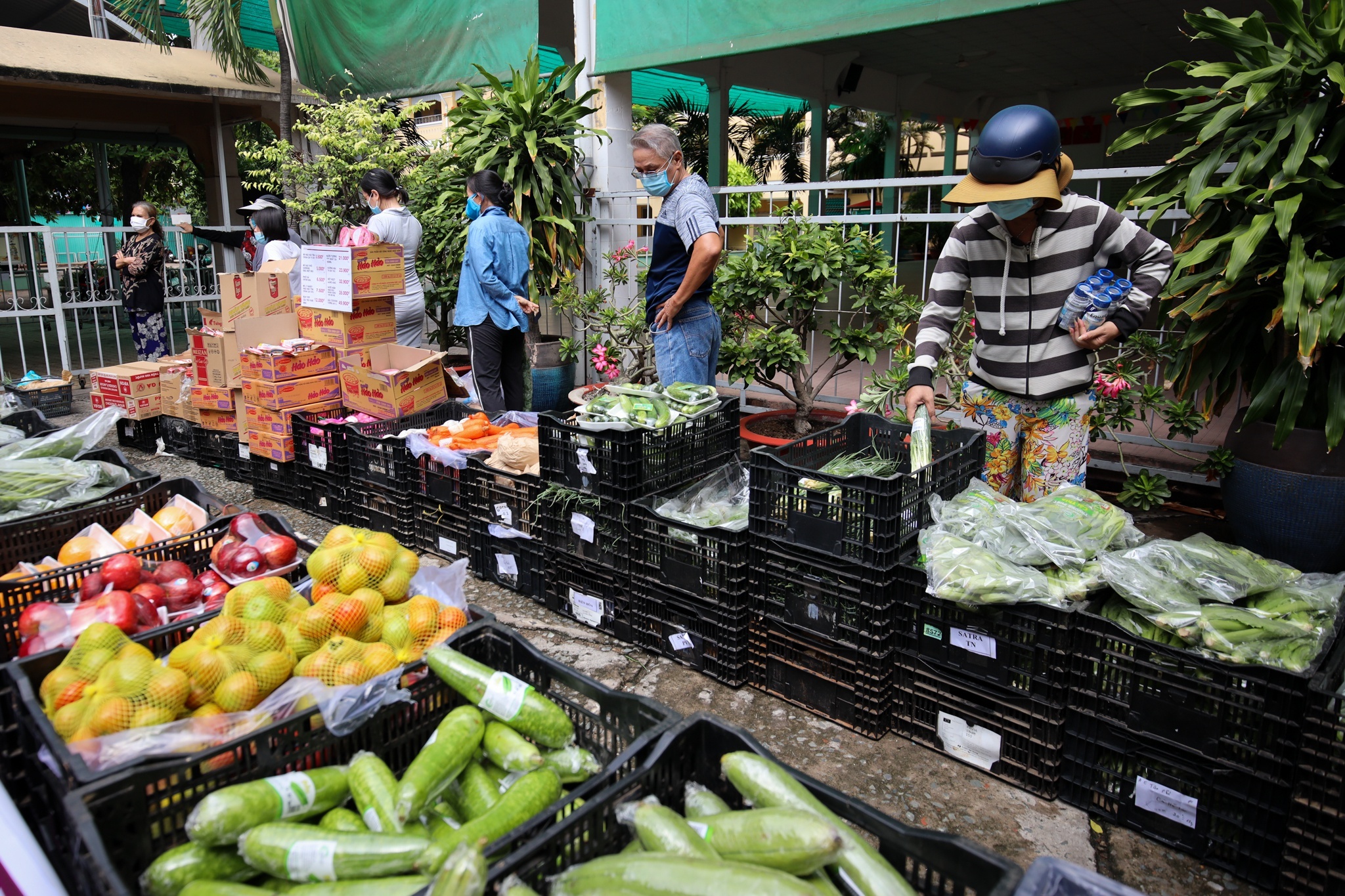 Thuc pham,  rau cu o TP.HCM khong con khan hiem anh 1