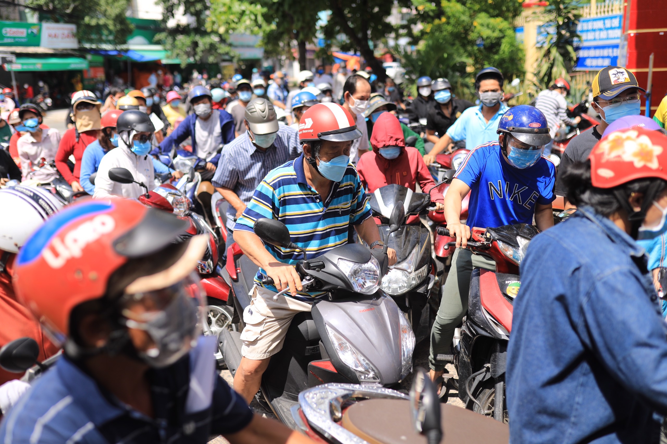 vaccine Vero Cell anh 7