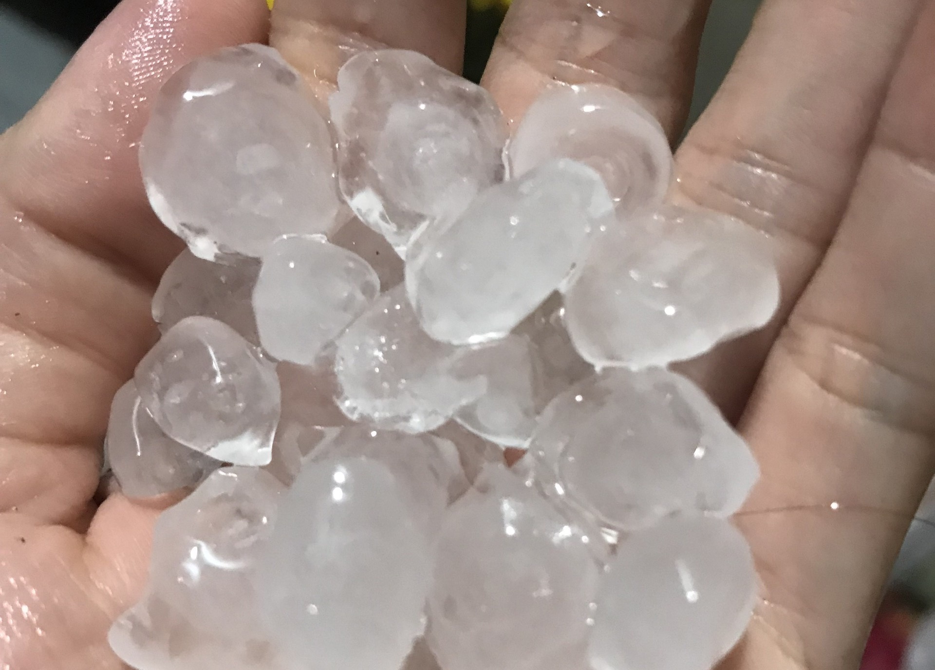 Mua da o TP.HCM hinh anh