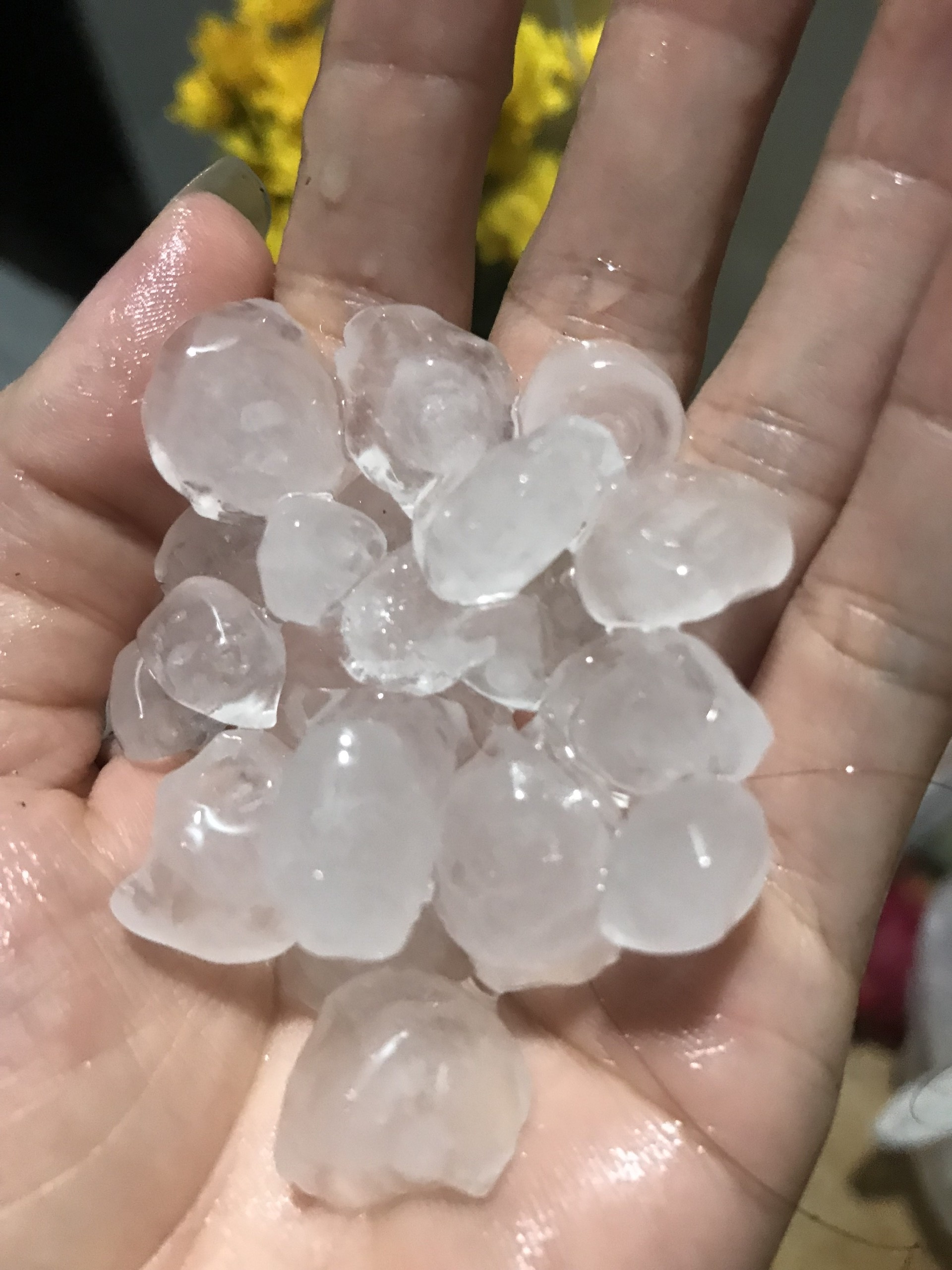 TP.HCM mua toi troi anh 1