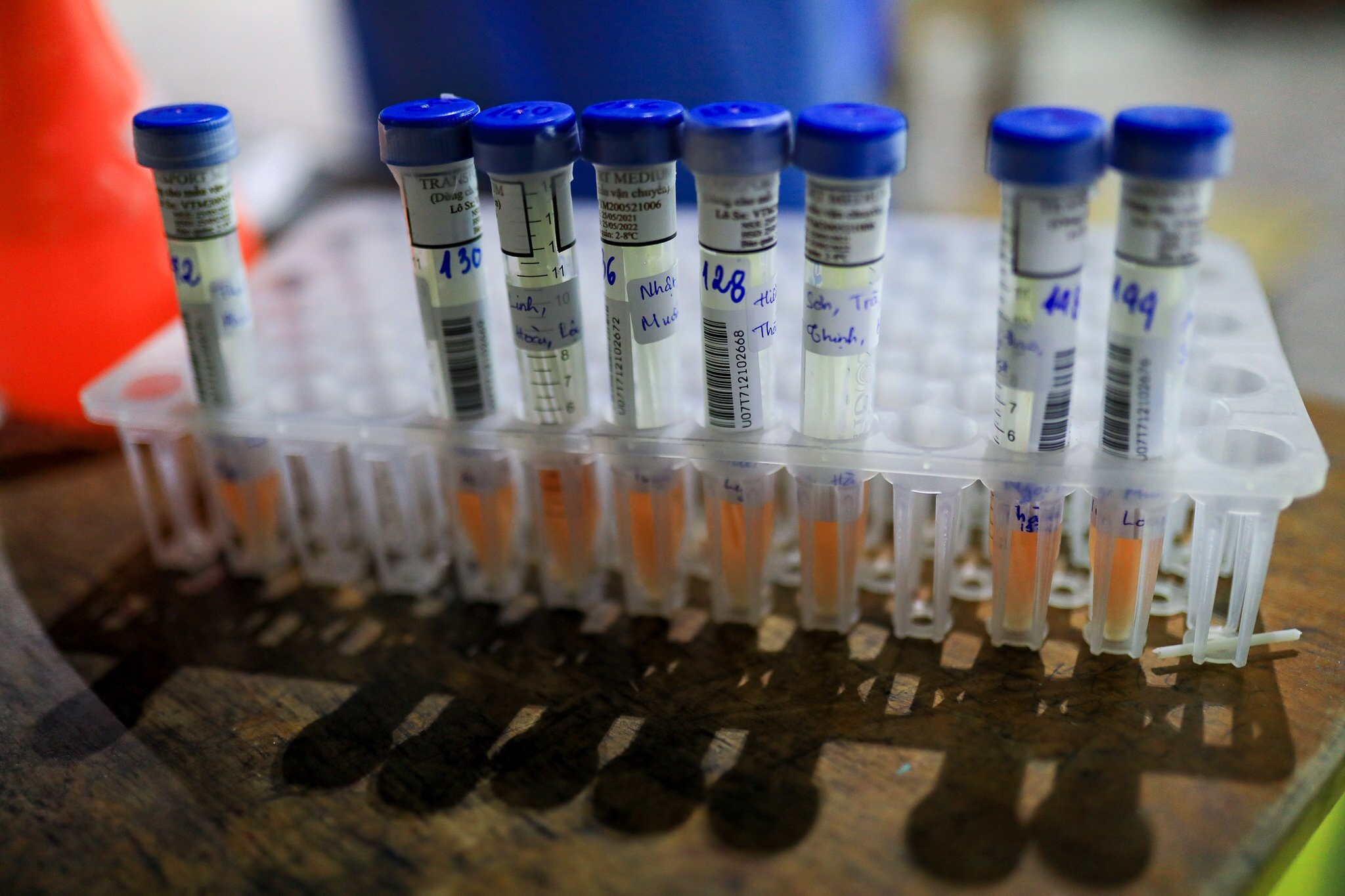 TP.HCM lay gan 950.000 mau test nhanh, hon 32.000 mau duong tinh hinh anh