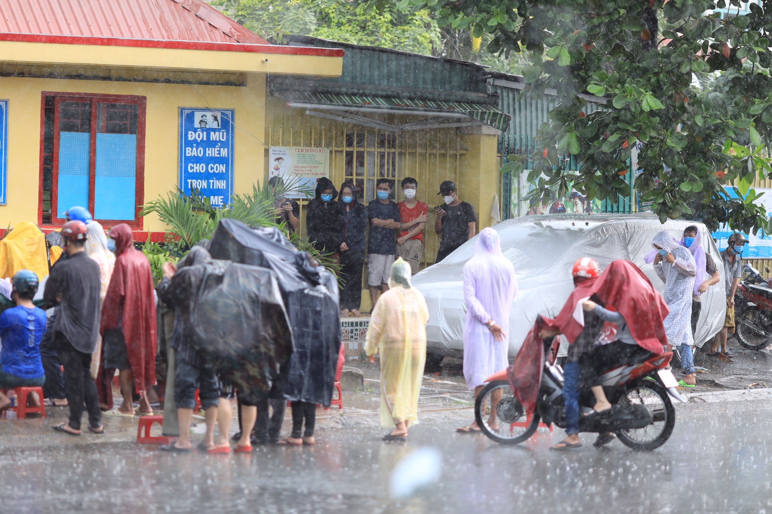 TP.HCM mua dong,  gio loc anh 1