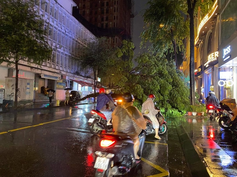 Xe Camry bi cay bat goc de bep o TP.HCM hinh anh