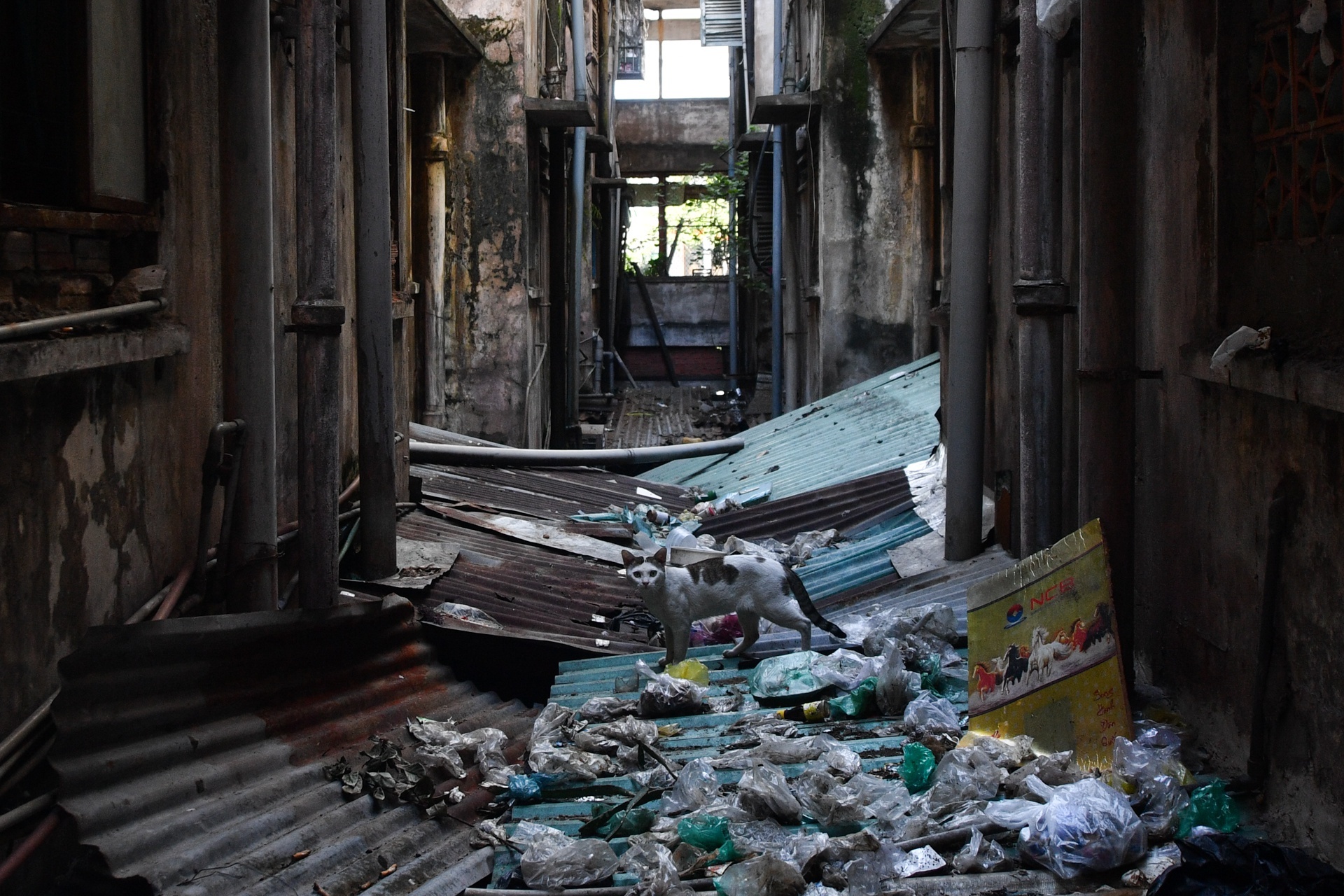 chung cu nguy hiem o TP.HCM anh 4