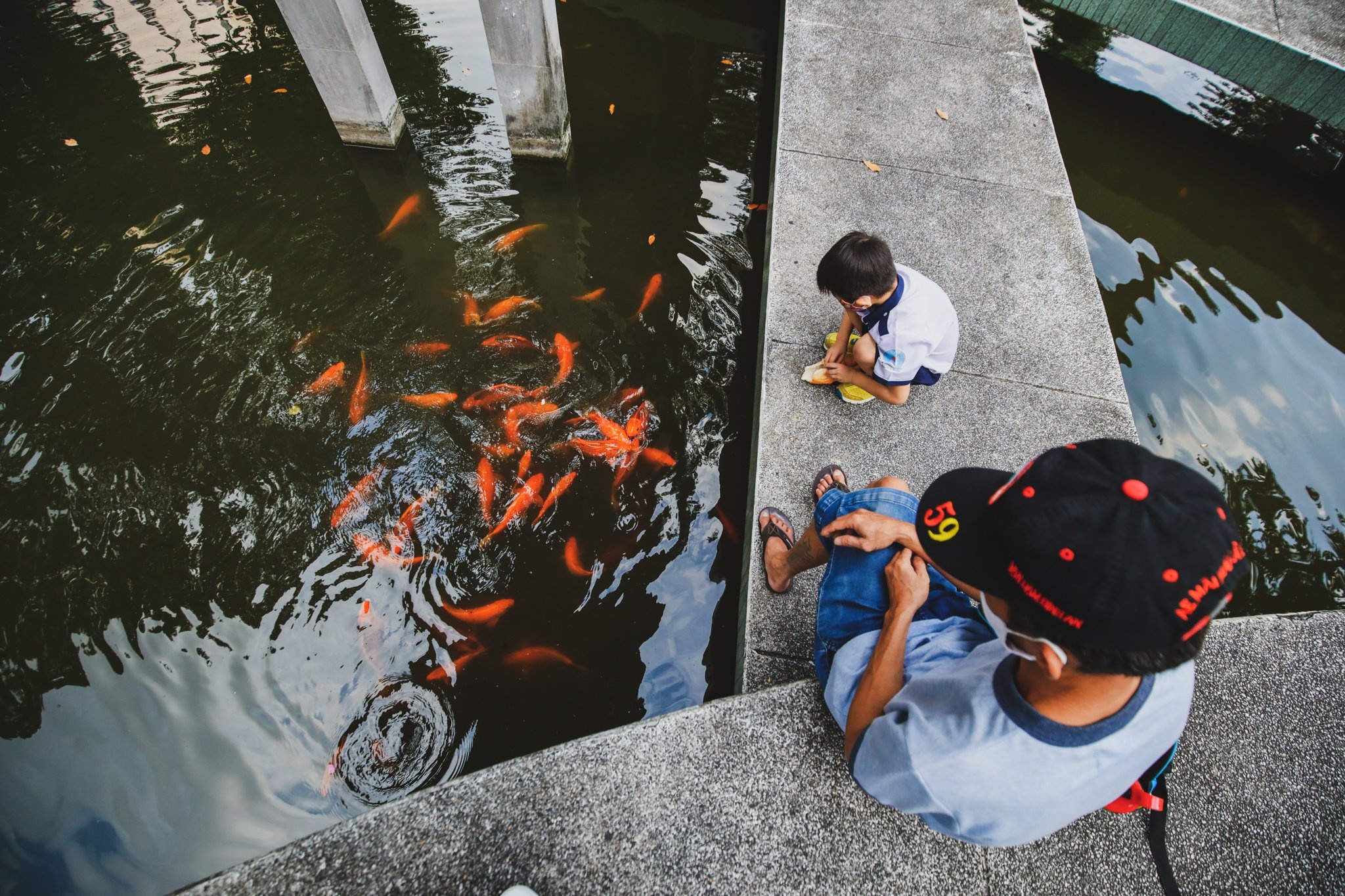 Nên cải tạo hồ Con Rùa thế nào ảnh 5 Nen cai tao ho Con Rua the nao anh 5