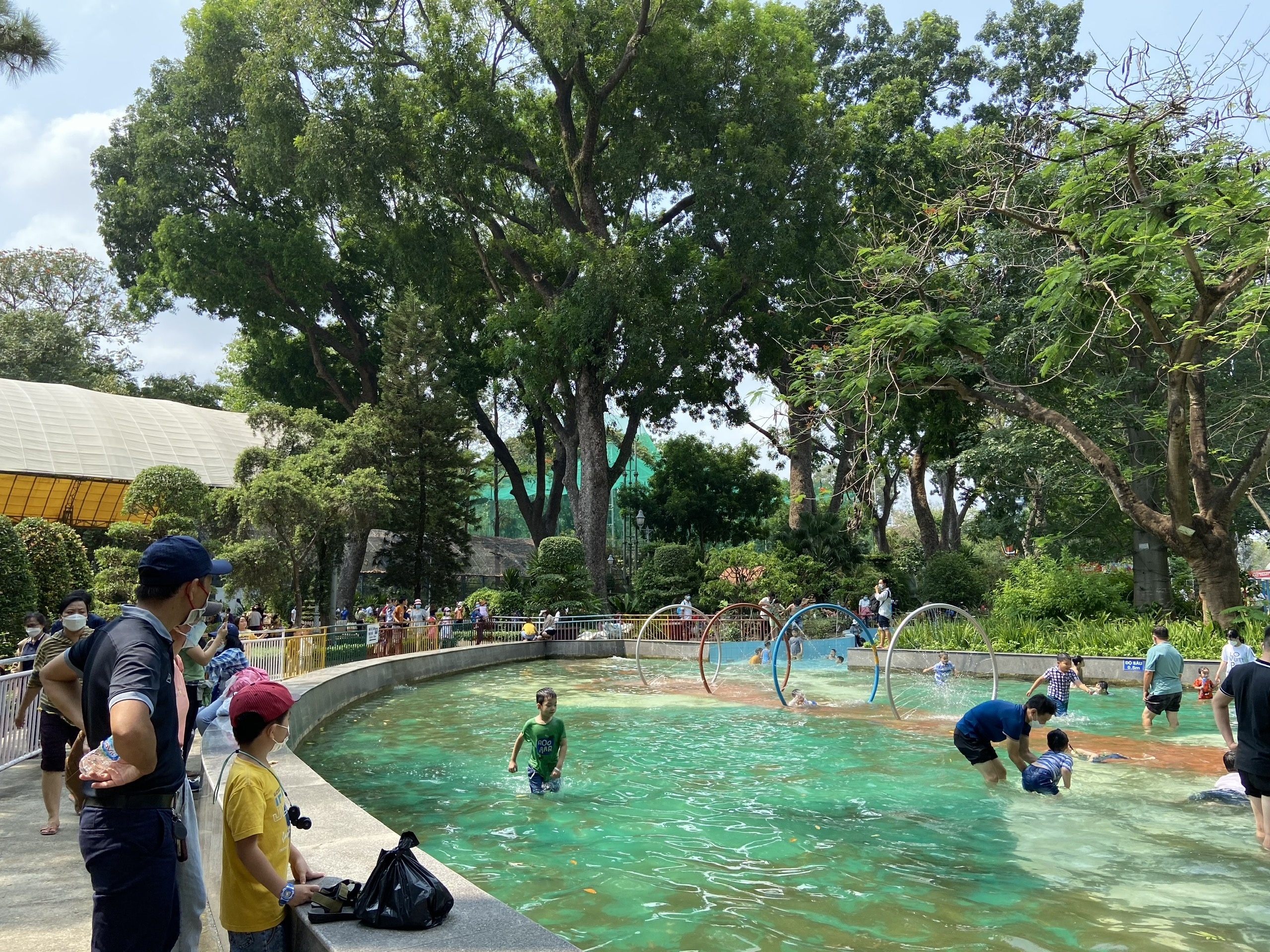 tia cuc tim o nam bo anh 1