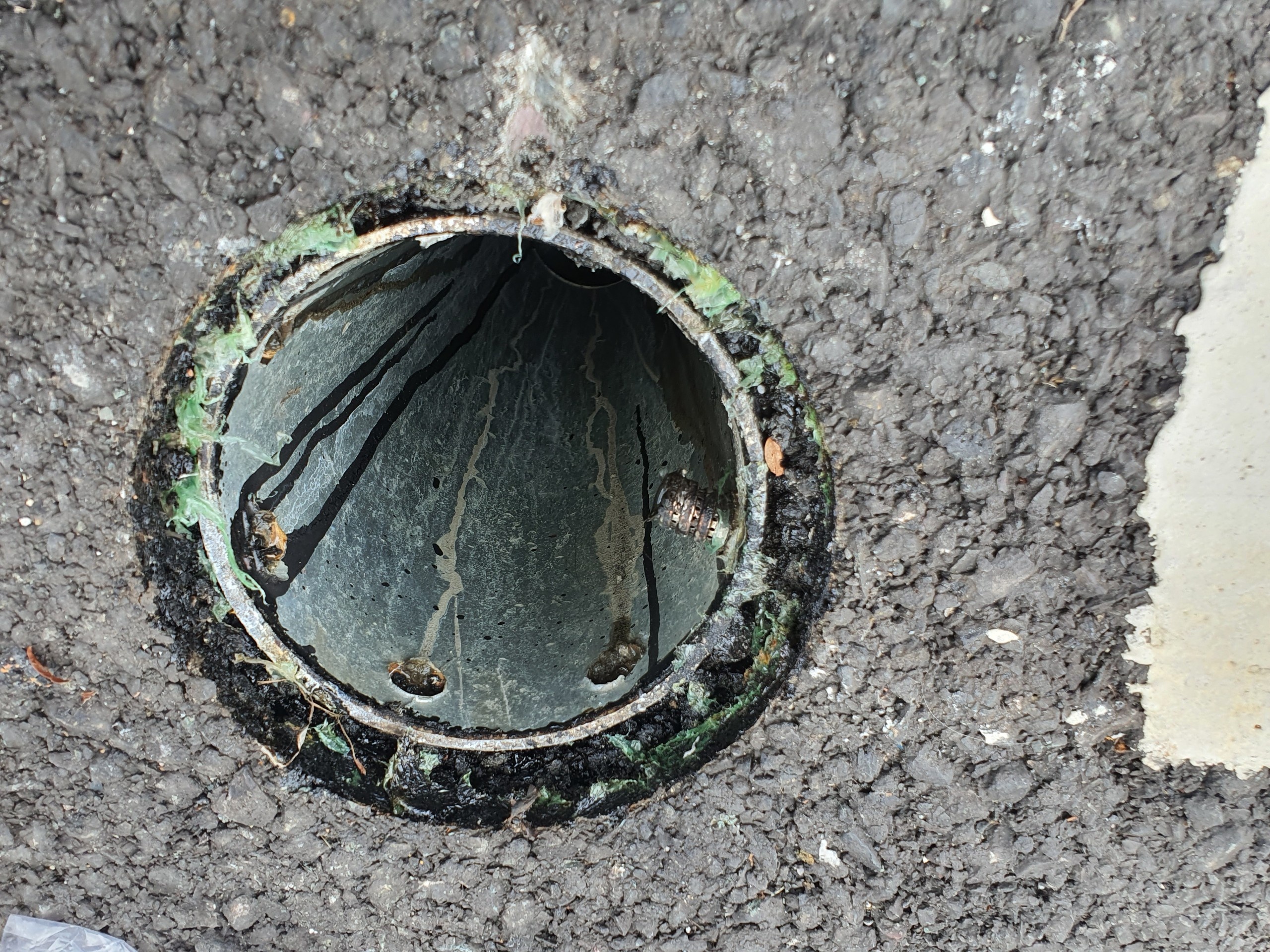 Cau Thu Thiem 2 bi cay trom 44 nap chan rac anh 1