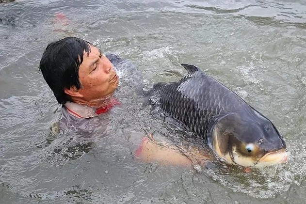 Cham ‘thuy quai’ song Me Kong: Gia san tien ty cua lao nong Can Tho hinh anh