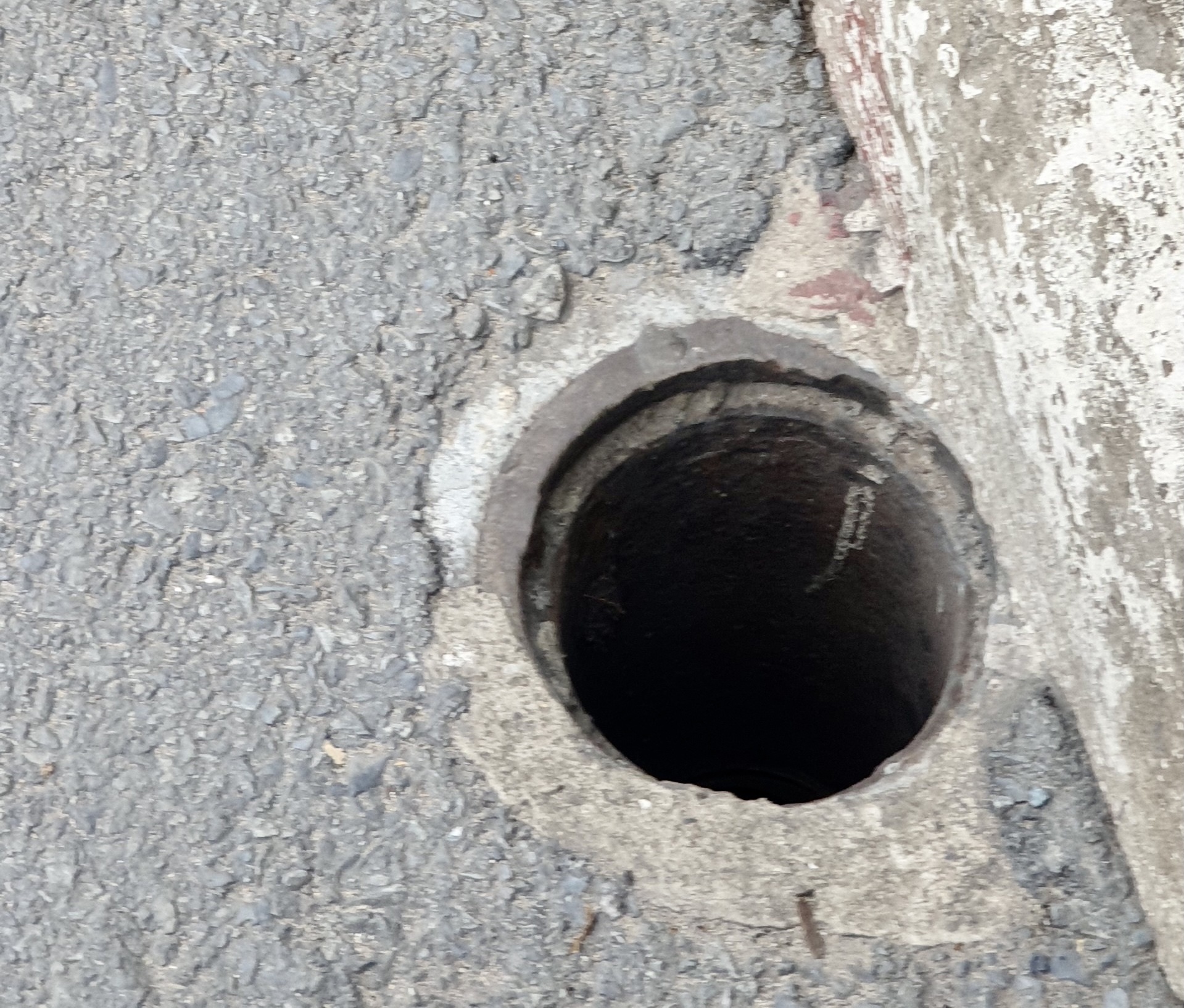 Them cay cau o TP.HCM bi mat nap chan rac hinh anh