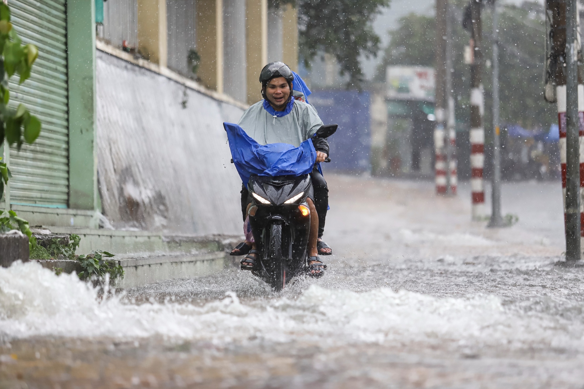 Canh bao mua lon kem gio loc giat manh o TP.HCM hinh anh