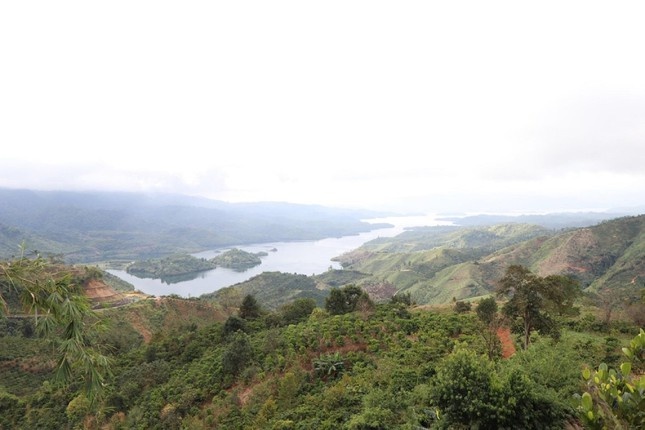 Vu mat hon 2.000 ha rung o Dak Nong: Chi kiem diem, rut kinh nghiem hinh anh