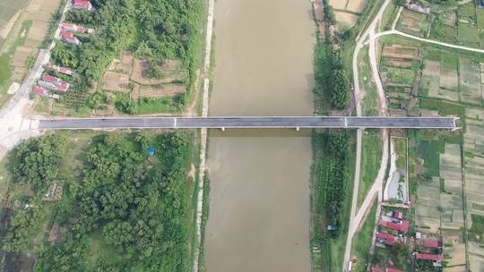 Cay cau cut hon 100 ty dong bi bo hoang anh 1