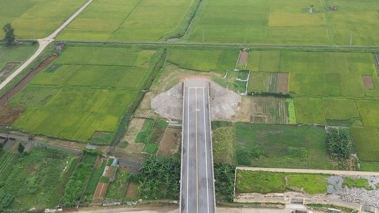 Cay cau cut hon 100 ty dong bi bo hoang hinh anh