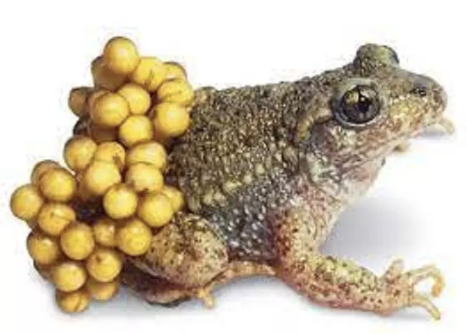 Hai chi em tu vong vi nghi an trung coc hinh anh