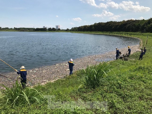 Ca chet hang loat do soc nhiet anh 1