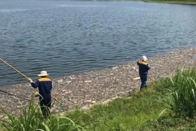 Nguyen nhan ca chet hang loat tai ho dieu hoa Yen So hinh anh