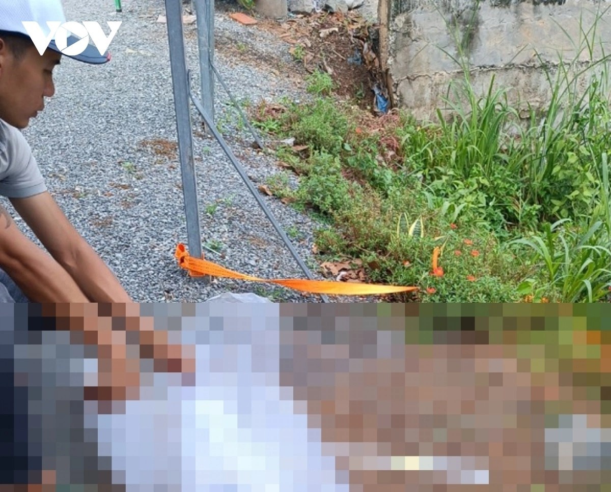 Phat hien thi the be trai khoang 1 thang tuoi duoi kenh nuoc anh 1