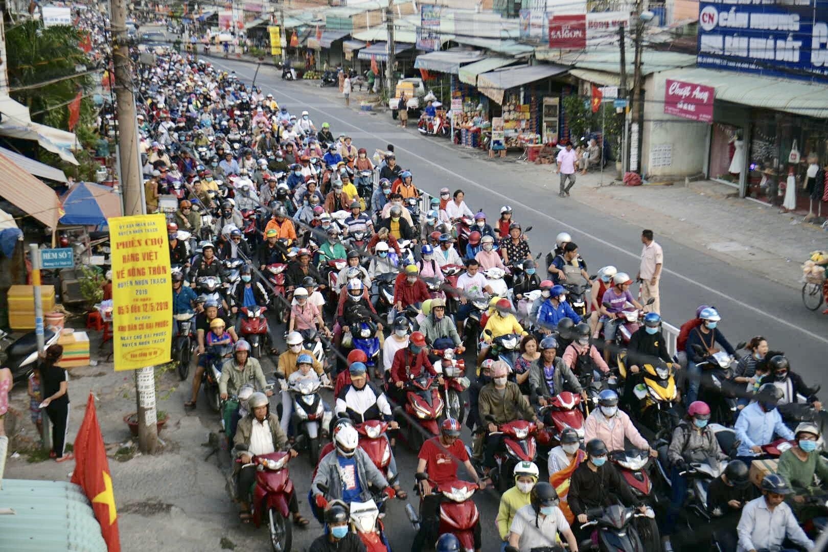 5 phuong an xay cau thay pha Cat Lai anh 1