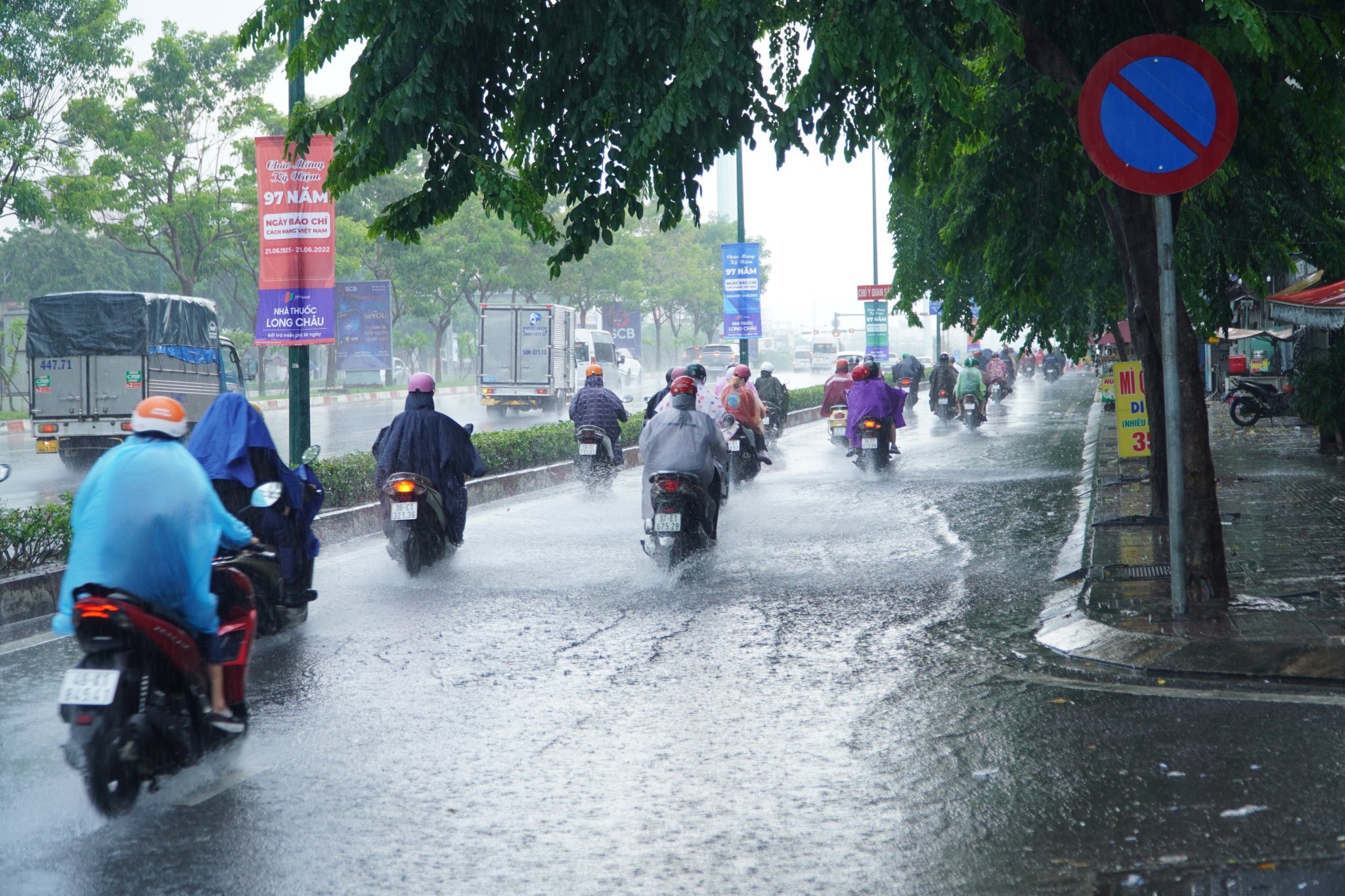 Mua dien rong TP.HCM anh 1