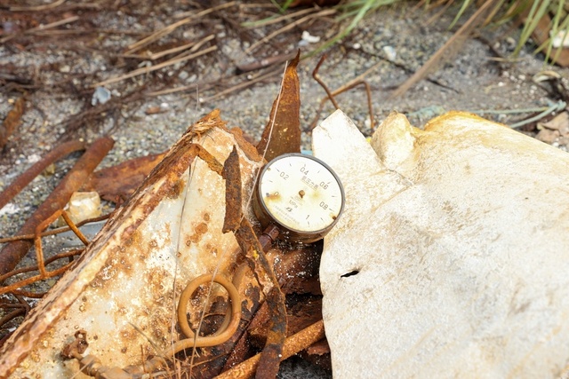 Thu tuong thi sat du an dam Ha Bac anh 5