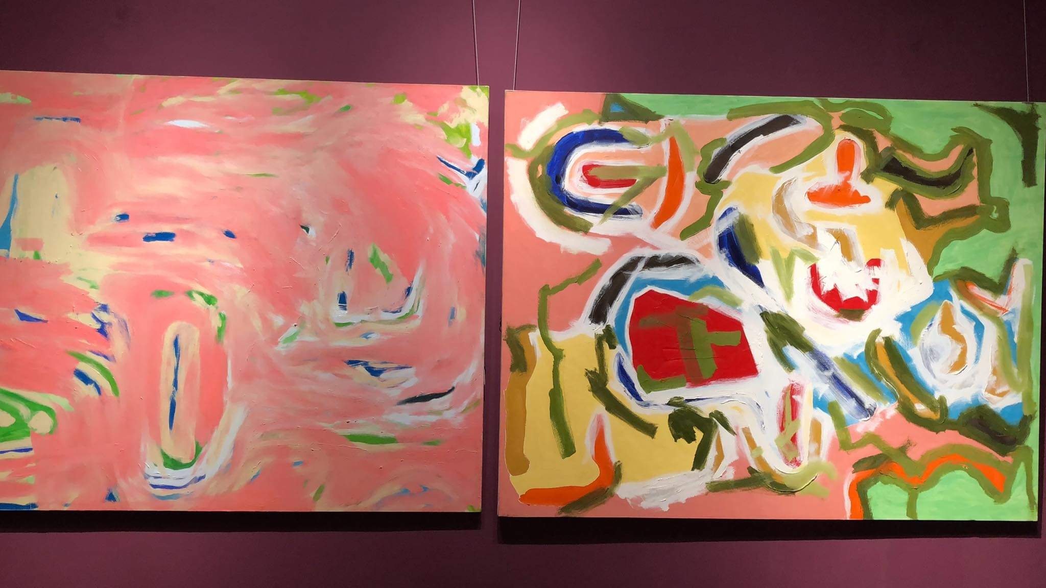 Ly giai viec tieu huy 29 buc tranh trien lam khong phep o TP.HCM hinh anh