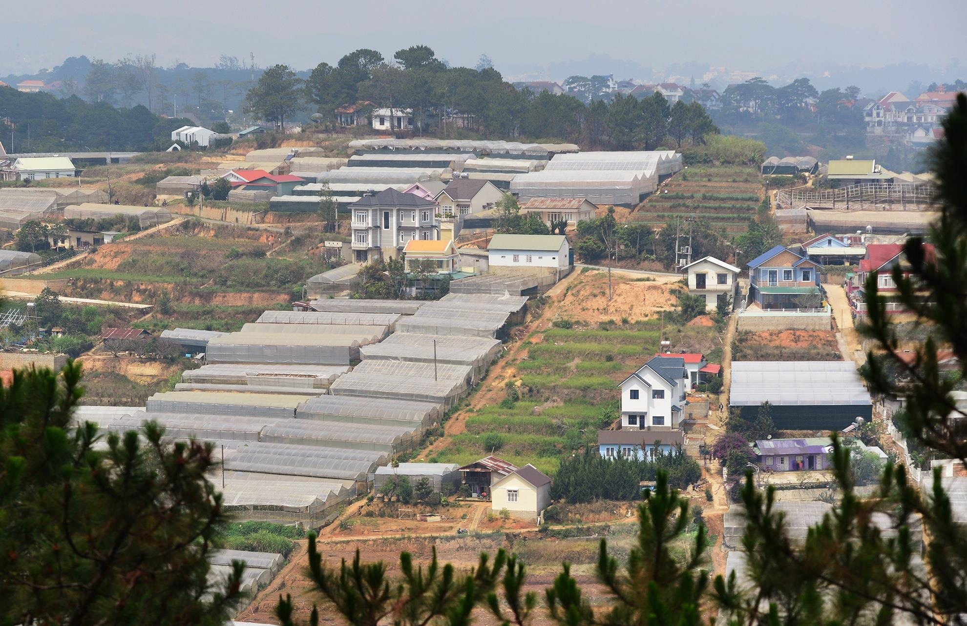 Da Lat ngap nang anh 2