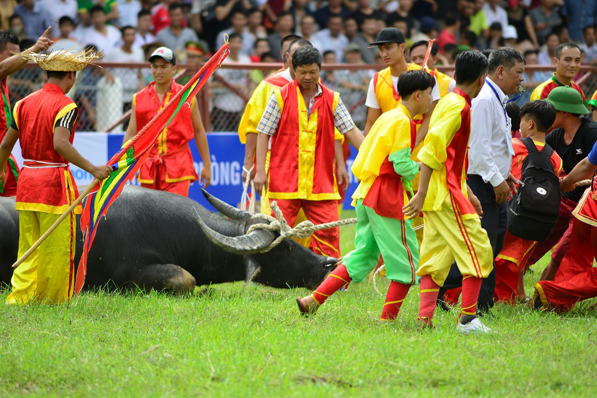 Khong co viec trau choi bi tiem thuoc kich thich o Do Son hinh anh