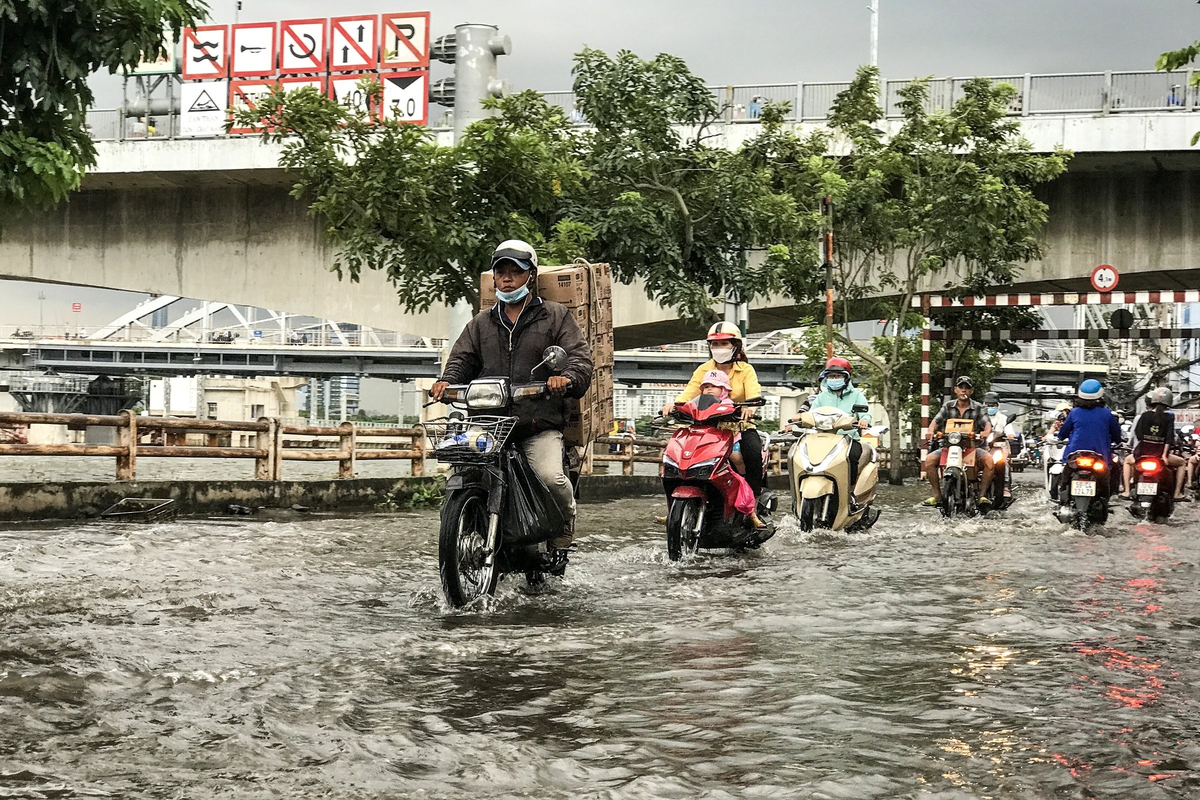 TP.HCM trieu cuong dat dinh anh 1