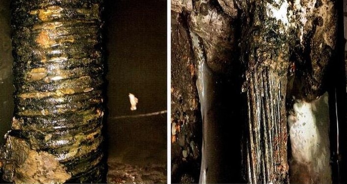 cau Nguyen Huu Canh, anh 2