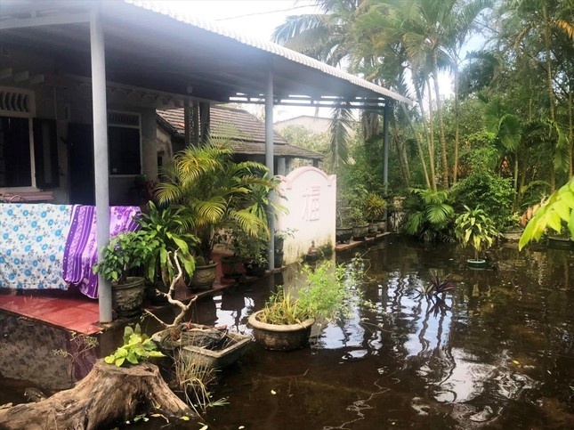 Ngap lut keo dai vi du an cho 200 ty dong hinh anh