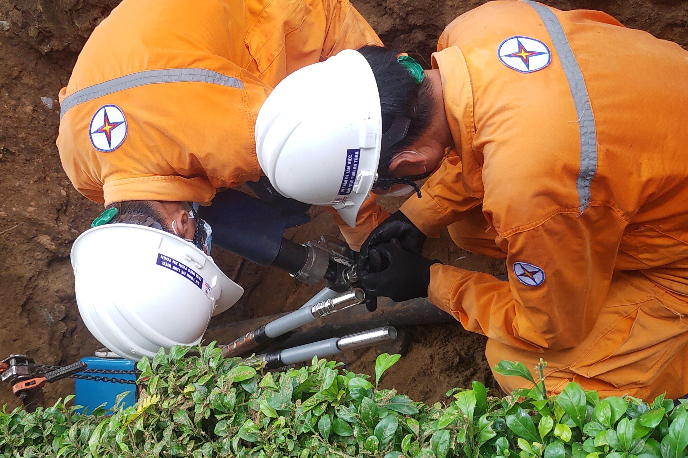 TP.HCM day tien do ngam hoa dien cac quan ngoai trung tam nam 2023 hinh anh