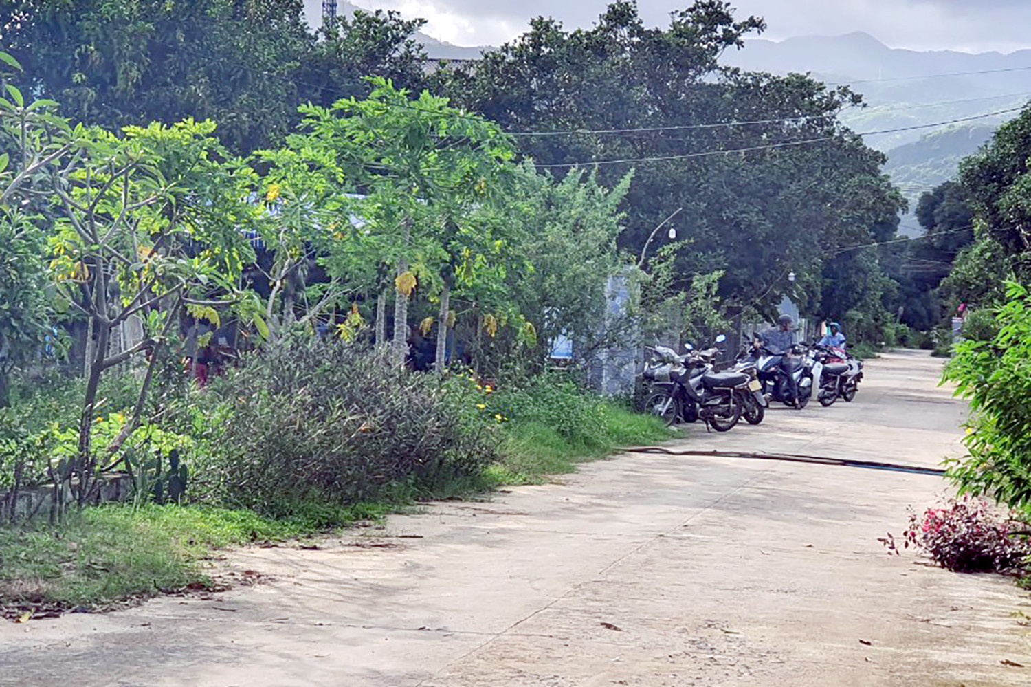 Cha cung con gai 2 tuoi chet duoi gieng nuoc o Khanh Hoa hinh anh