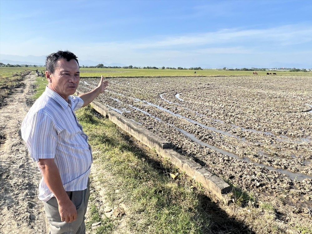 Canh dong dat set ky la hinh anh