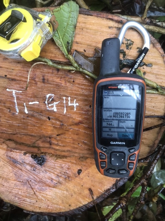 lam tac vao pha rung anh 1