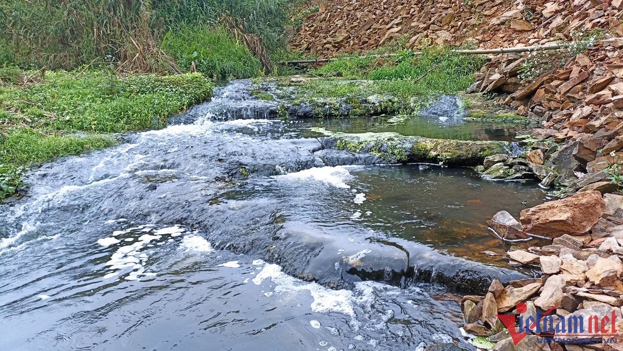 ca chet hang loat anh 1