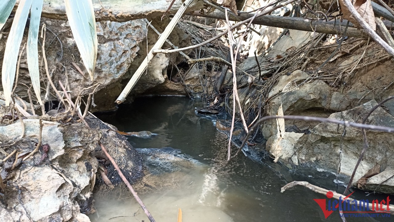 ca chet hang loat anh 2