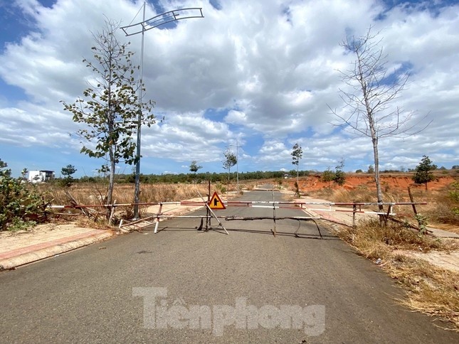 tan viet phat 2 anh 2