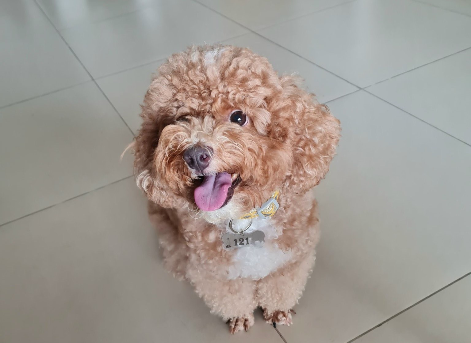 chung cư TP.HCM ảnh 1 chung cu TP.HCM anh 1