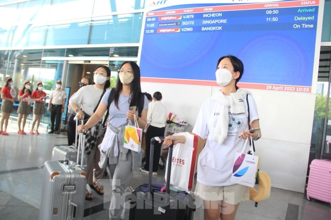 'Chat chem' nu du khach Han Quoc gap 10 lan, tai xe bi phat 11 trieu hinh anh