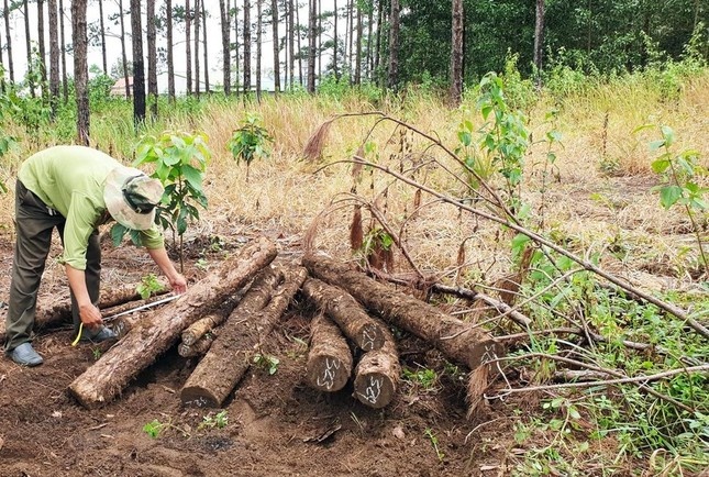 Kiem lam Lam Dong chi tien an ngu, xang xe hon 1 ty dong trai quy dinh hinh anh