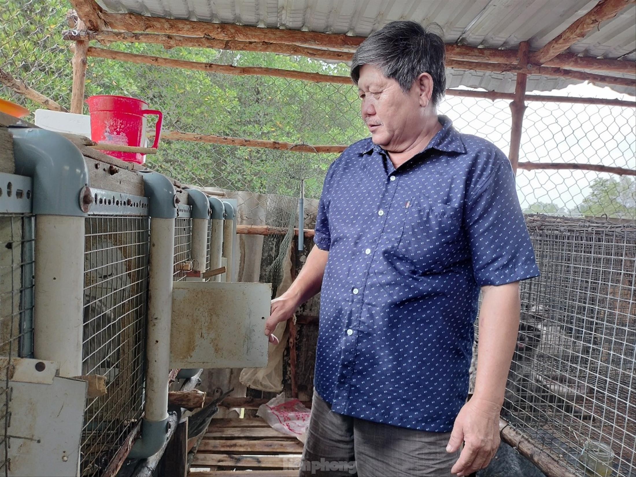 Nan trom chon long hanh vung Dat Mui hinh anh