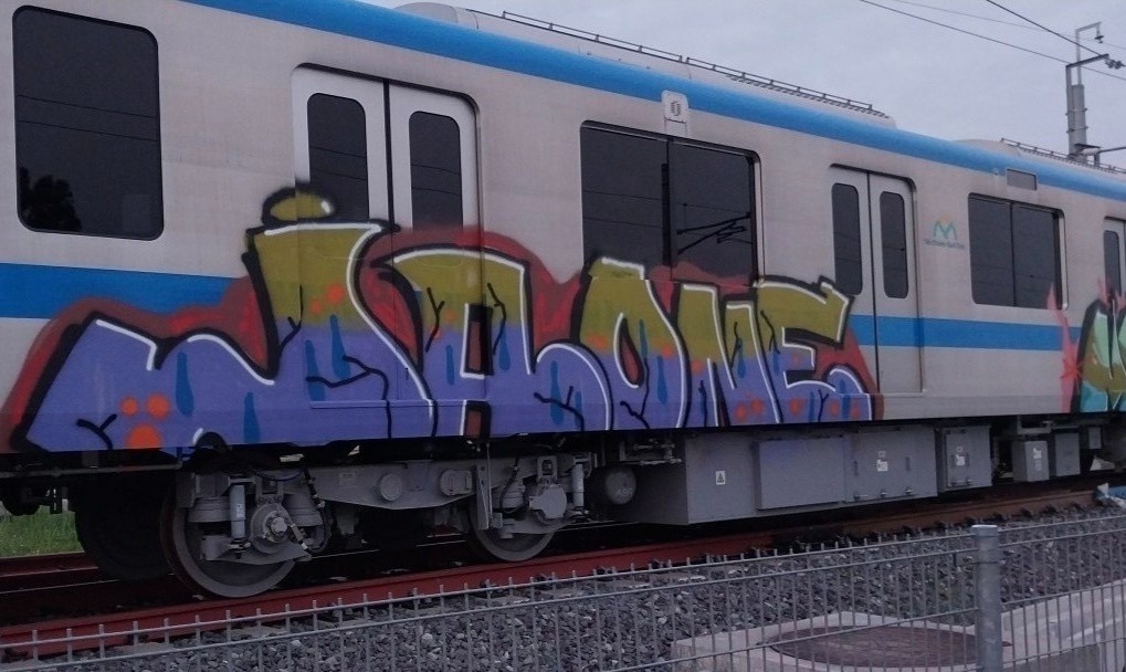 Them mot doan tau metro so 1 Ben Thanh - Suoi Tien bi ve bay hinh anh