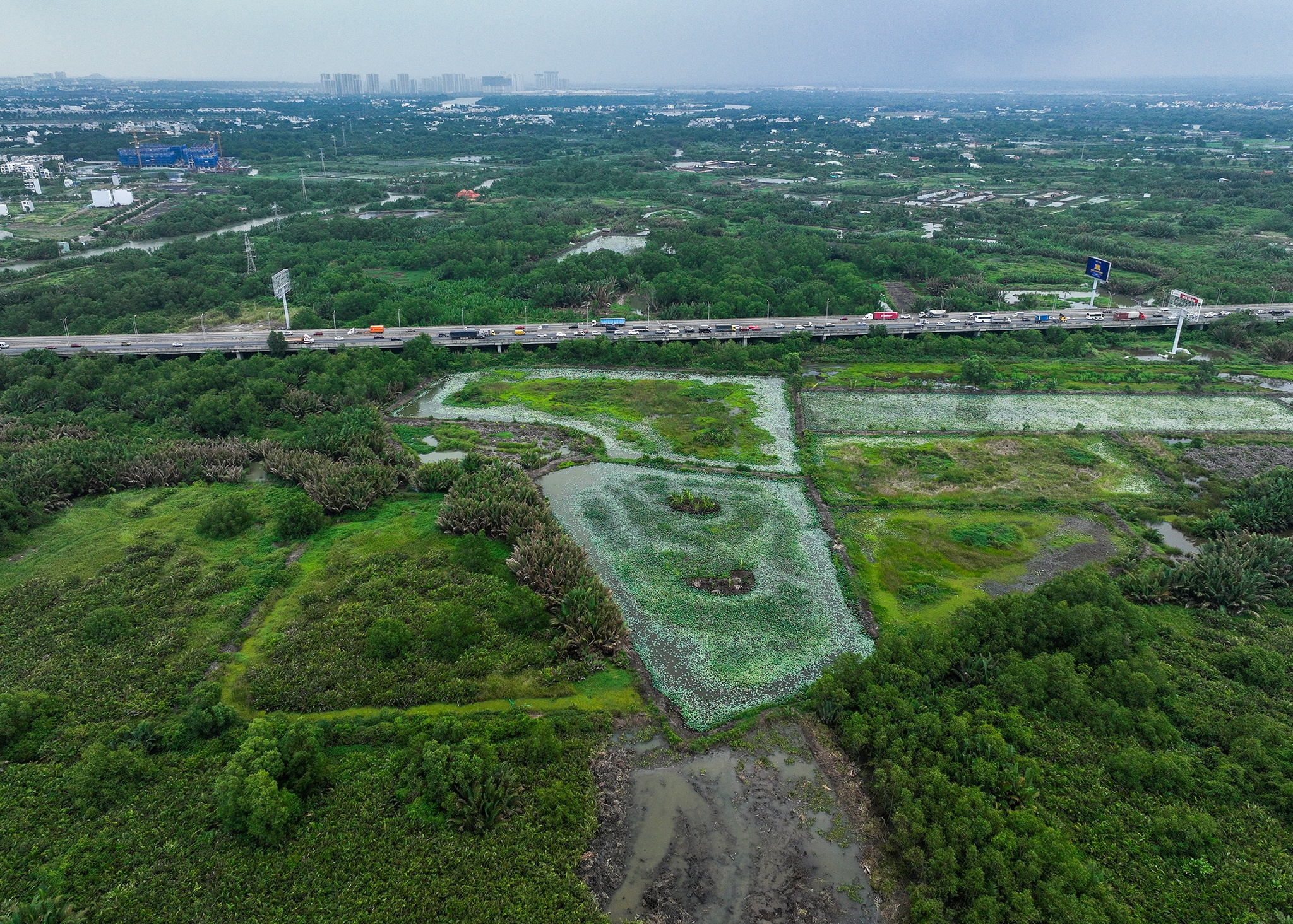 cau Nhon Trach anh 3