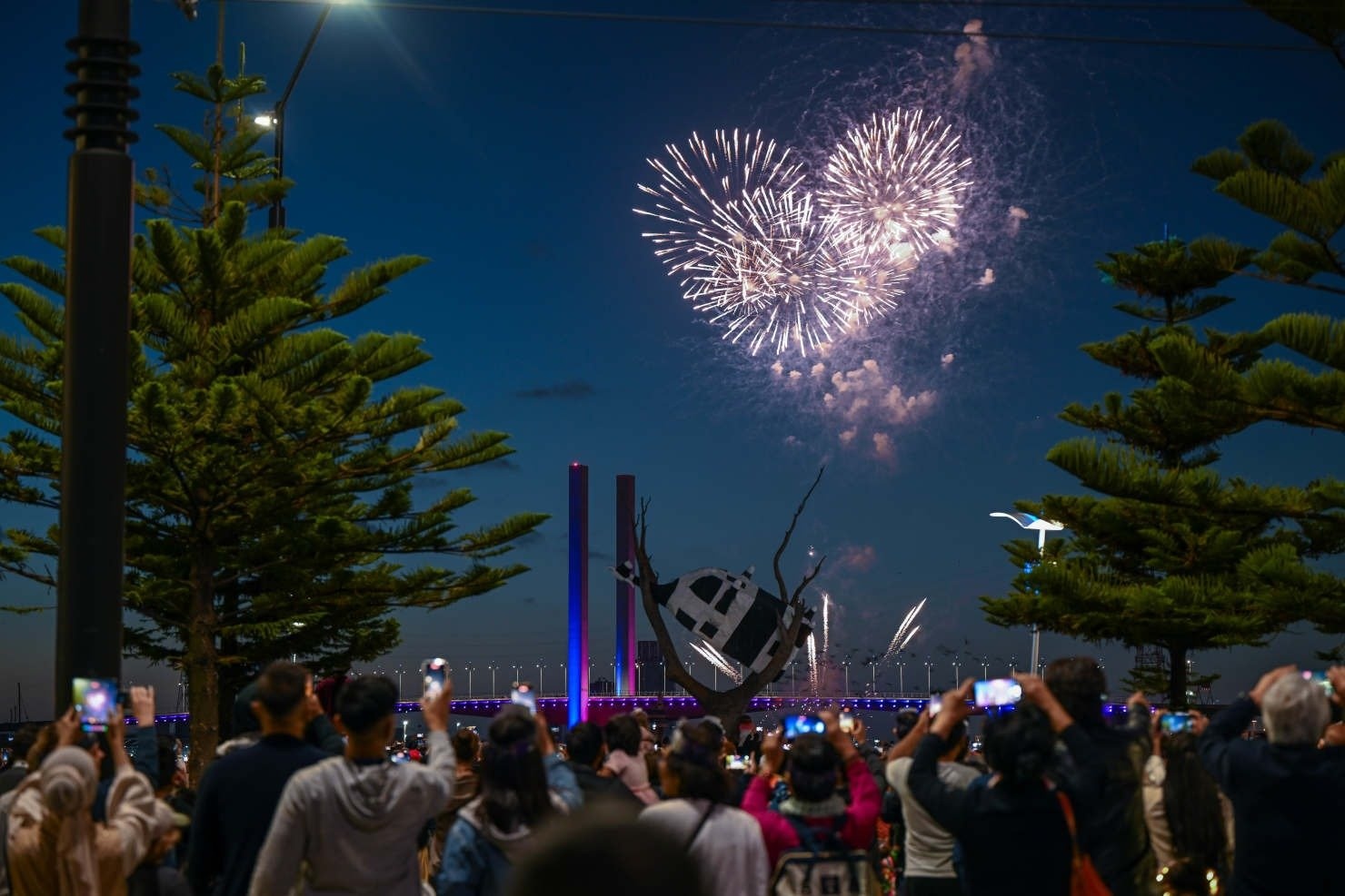 ban phao hoa,  Australia,  New Zealand anh 6