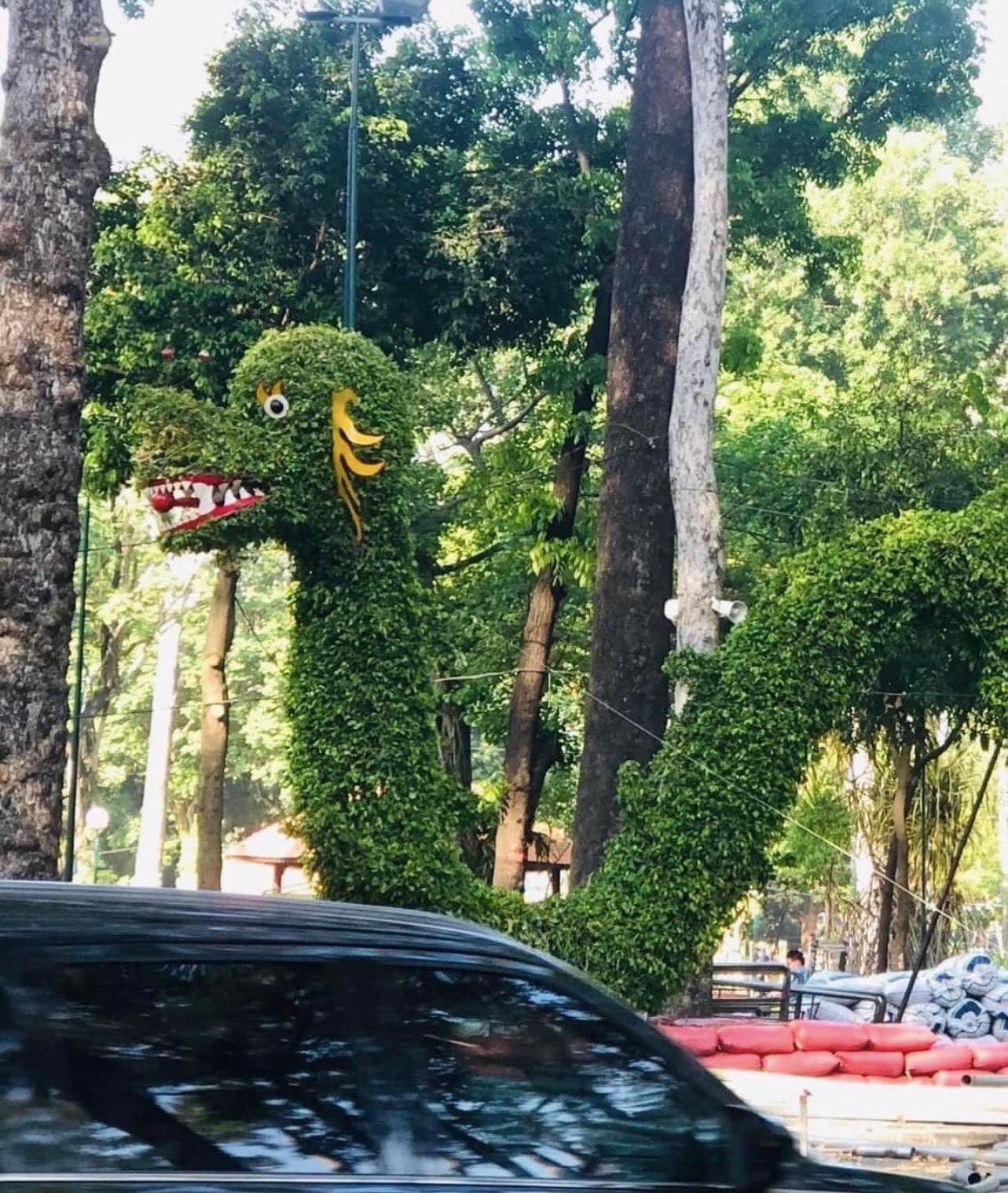 linh vat rong 2024,  tet giap thin,  xuan 2024,  rong cac tinh anh 12