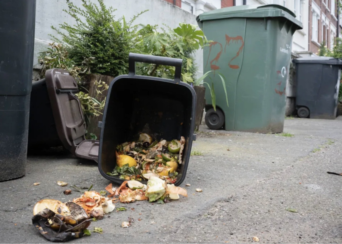 lang phi thuc an,  nan doi,  bao cao LHQ anh 1